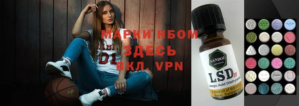сатива Аркадак