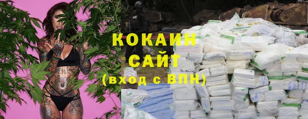 молекула духа Богданович