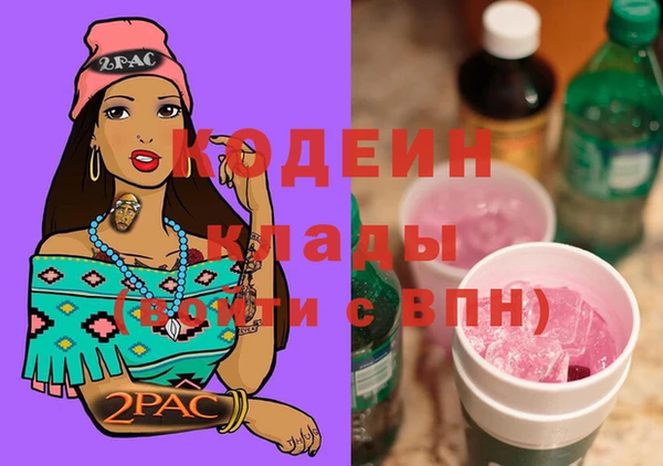 молекула духа Богданович