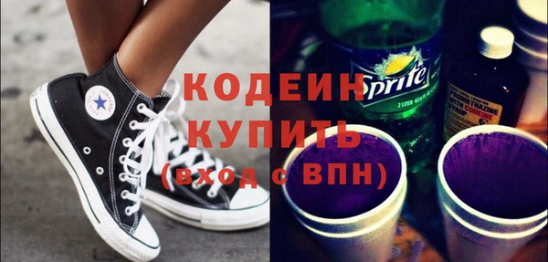 молекула духа Богданович