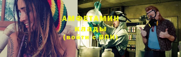 молекула духа Богданович
