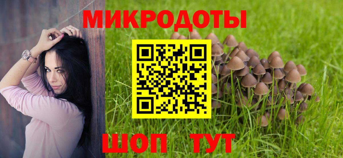 Курган  Галлюциногенные грибы Psilocybe  Вход с VPN  Галлюциногенные грибы мухоморы 