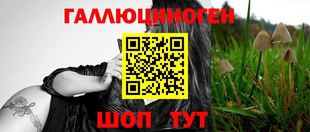 Псилоцибиновые грибы GOLDEN TEACHER Курган